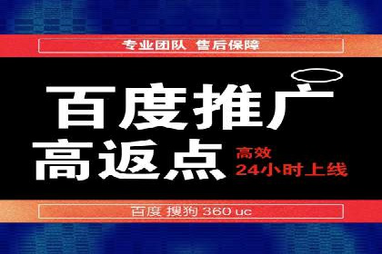 解析sem代运营公司经典案例：如何实现ROI最大化